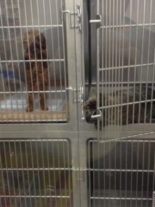 今日のうめさん