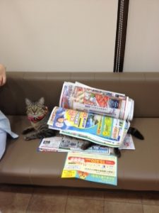 今日のうめさん2