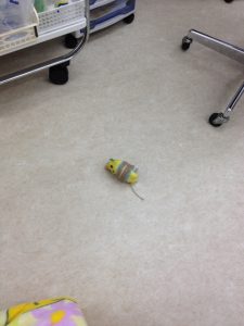 飽きたうめさん・・・