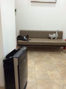 うめさんとらいちゃん