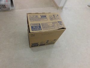 子猫を捨てていった方へ