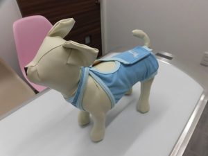 エリザベスウエア