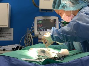 結腸腺癌の摘出手術