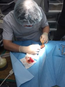 顧問獣医師のお知らせ