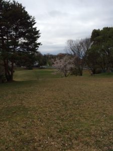 狂犬病集合注射