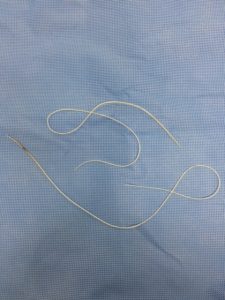 フィラリア予防について