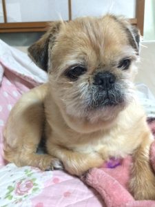 もも・へちゃと