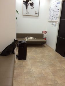 まりもさん近況