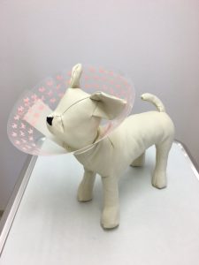 エリザベスウエア