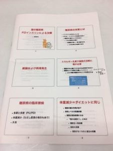 猫の糖尿病セミナー