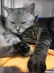 今年もお世話になりました！