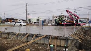 犬の膀胱腫瘤＋膀胱結石