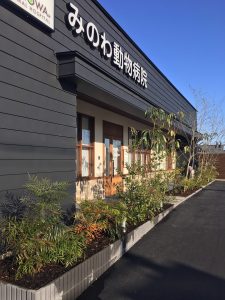 春の訪れ、院長の趣味