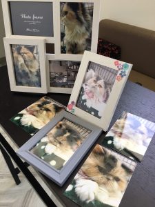 まりもさん、さようなら。そしてありがとう。