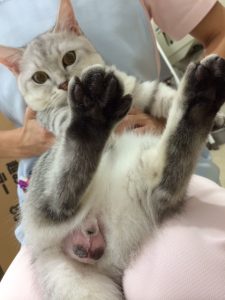 らい君の近況報告