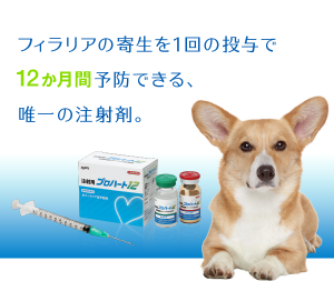 フィラリア予防の注射薬「プロハート12」